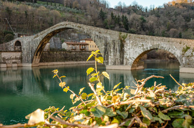 The devil's bridge in borgo a mozzano, lucca