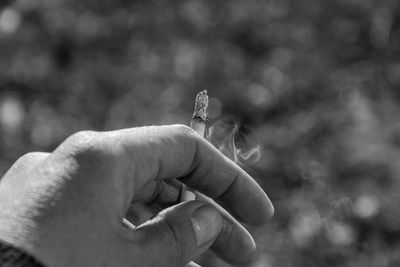 Close-up of hand holding butterfly