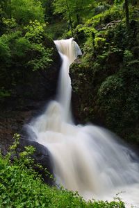 View of waterfall in forest