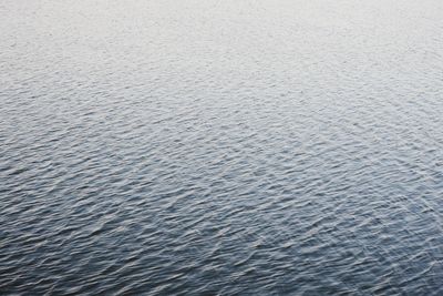 Full frame shot of rippled water