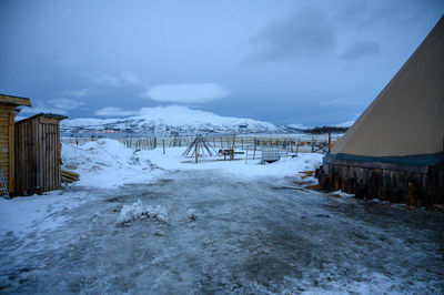 Sami village in tromso with reindeers