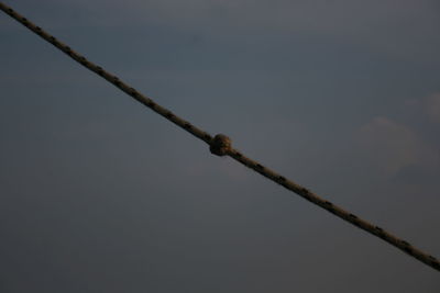 Low angle view of barbed wire against sky