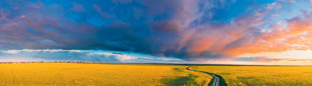 Scenic view of field against sky during sunset