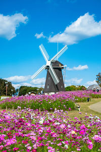 Traditional windmill on field against sky