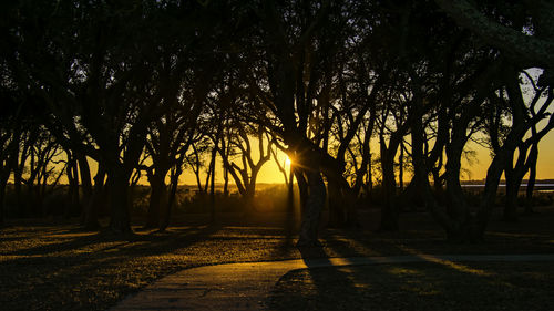 Silhouette trees on landscape against sky at sunset