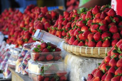 Close-up of fruits for sale at market stall