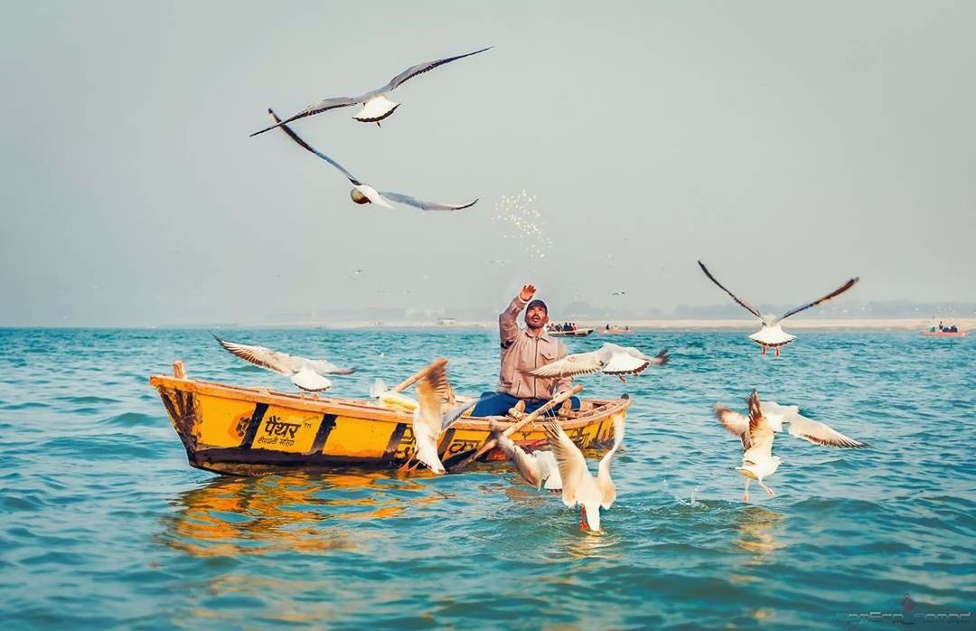 BIRDS FLYING OVER BEACH