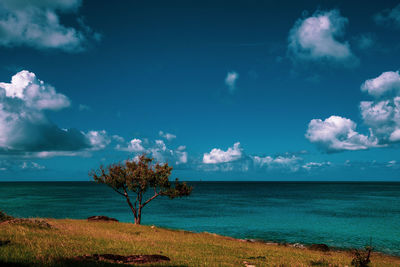 The caribbean sea on antigua and barbuda beach.