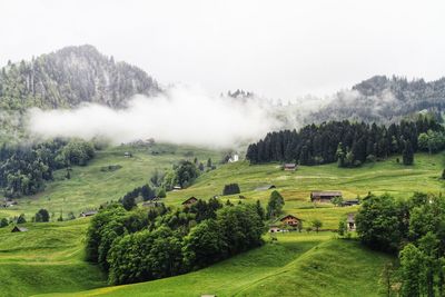 Scenic view of landscape against sky