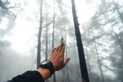 Low angle view of hand holding plant against sky