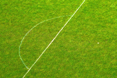 Full frame shot of green leaves on field