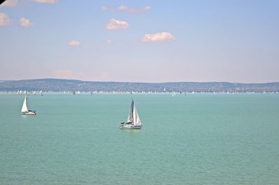 Sailboat sailing on sea against sky