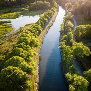 High angle view of river amidst trees