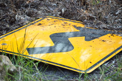 Close-up of yellow grass