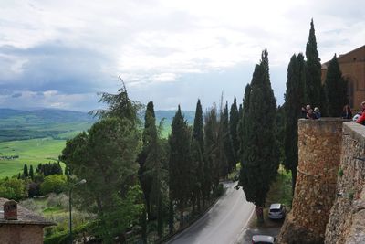 Panoramic view of trees and road against cloudy sky