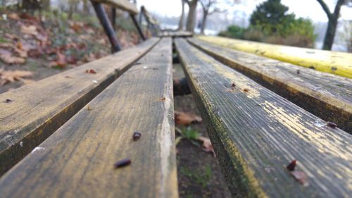 Close-up of bench on railroad track