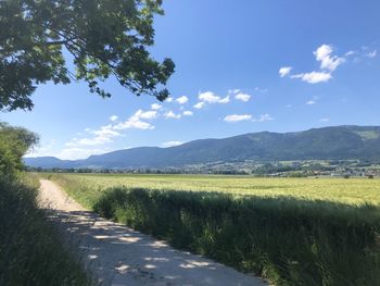 Scenic view of field against sky