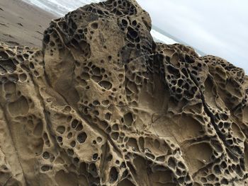 Close-up of stone wall