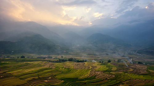 Scenic view of rice field against sky