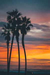 Silhouette palm tree by sea against romantic sky at sunset