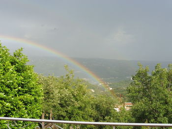 Scenic view of rainbow over trees