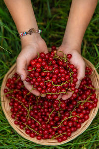 Low section of woman holding fruit