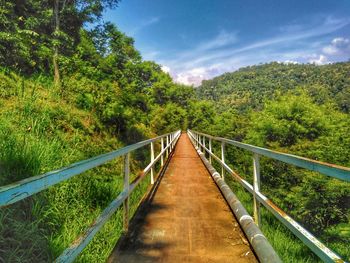 Footbridge amidst trees in forest against sky