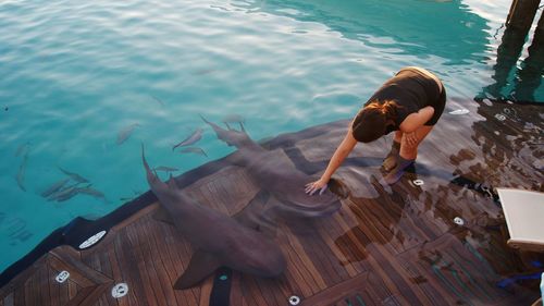 High angle view of woman touching fish in sea