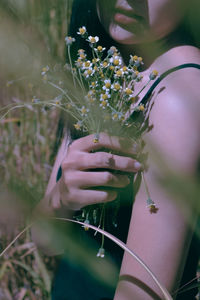 Midsection of woman holding flowering plant