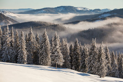 Scenic view of snow covered mountains against sky