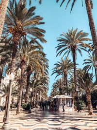 Group of people walking on palm trees