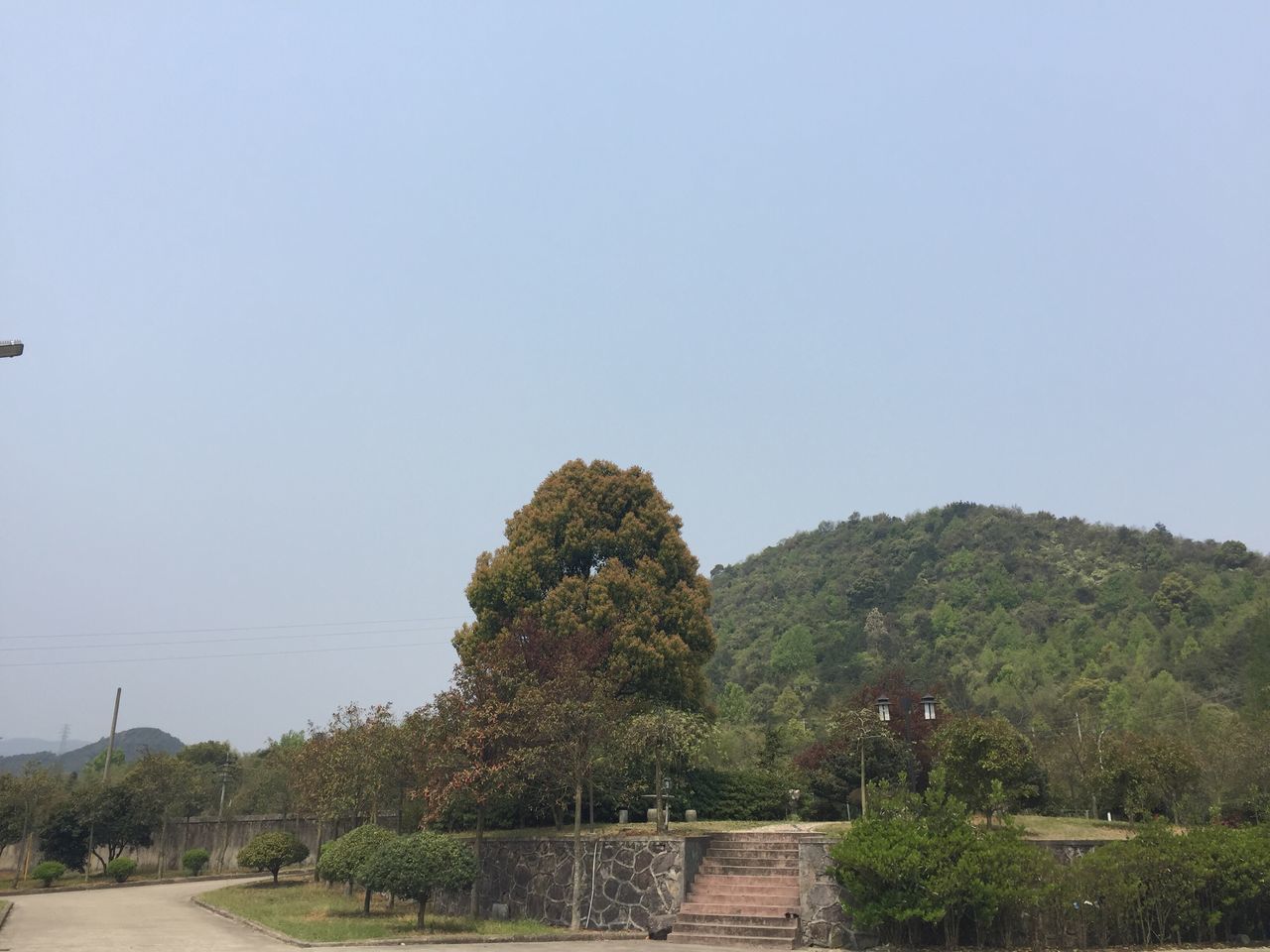 tree, clear sky, copy space, tranquility, tranquil scene, growth, nature, beauty in nature, scenics, landscape, mountain, outdoors, built structure, sky, day, the way forward, non-urban scene, road, no people, plant