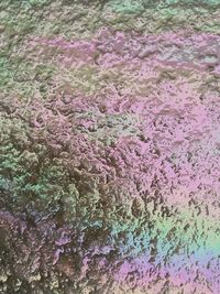 Full frame shot of pink petals