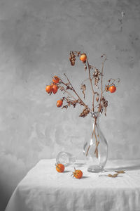 Close-up of berries on plant against wall