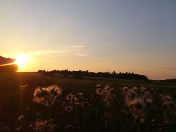 Scenic view of landscape at sunset