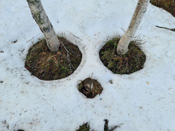 High angle view of snow on field