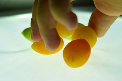 Close-up of hand holding balloons