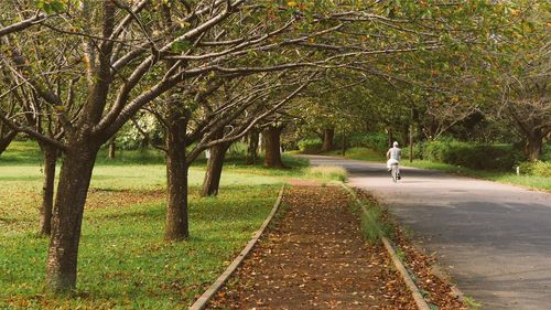 Man walking on road amidst trees