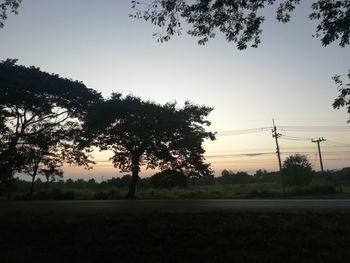 Silhouette trees on field against sky during sunset