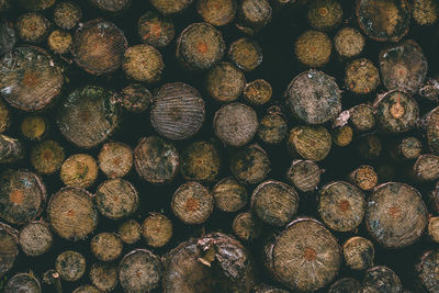 Full frame shot of logs in forest
