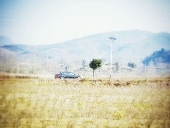 Plants on landscape against sky