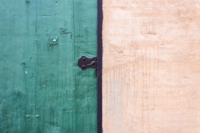 Close-up of lizard on door