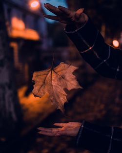 Close-up of hand holding maple leaf during autumn