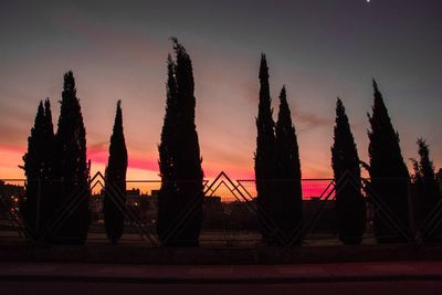 Silhouette trees against sky during sunset