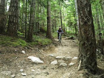 Rear view of man riding bicycle in forest