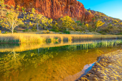 Scenic view of lake by trees during autumn