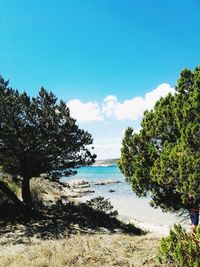 Scenic view of beach against cloudy sky