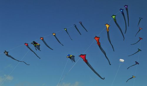 Low angle view of kites flying in sky