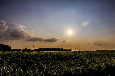 Scenic view of agricultural field against sky during sunset