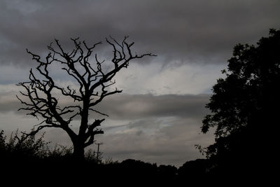 Silhouette of bare tree against sunset sky